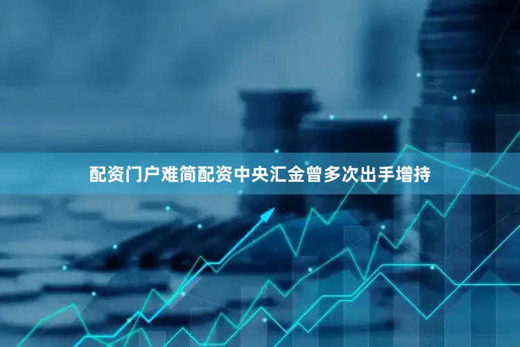 配资门户难简配资中央汇金曾多次出手增持