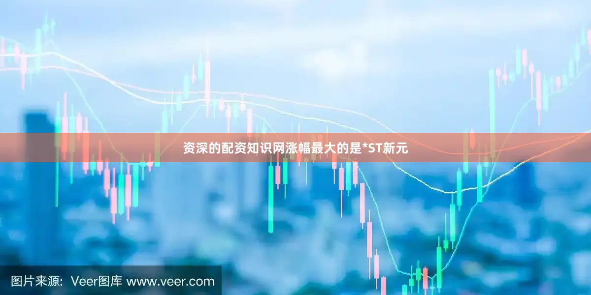 资深的配资知识网涨幅最大的是*ST新元