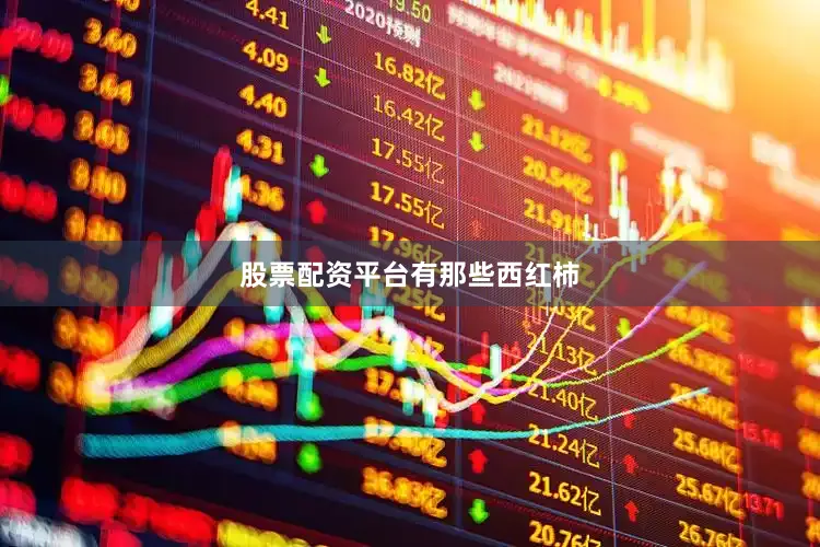 股票配资平台有那些西红柿