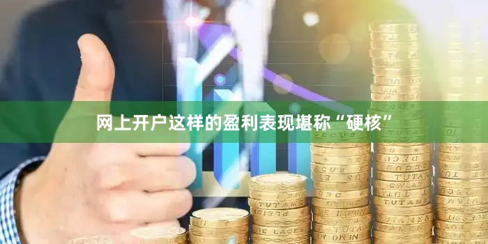 网上开户这样的盈利表现堪称“硬核”